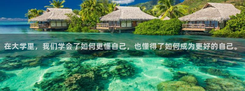 熊猫体育平台：在大学里，我们学会了如何更懂自己，也懂得了如何成为更好的自己。