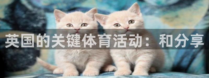 熊猫体育直播：英国的关键体育活动：和分享