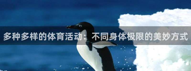 熊猫体育app下载安装：多种多样的体育活动：不同身体极限的美妙方式