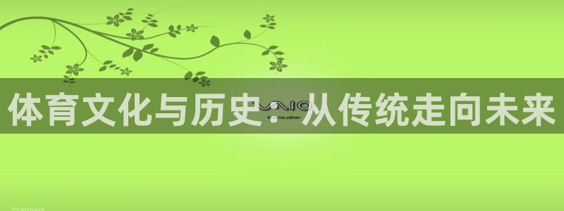 熊猫体育官网首页入口：体育文化与历史：从传统走向未来