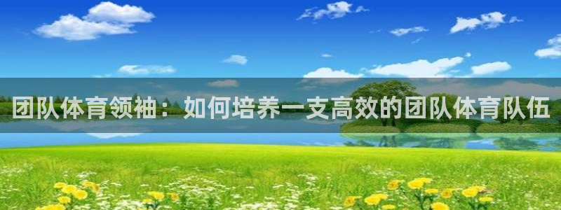 熊猫体育v3.新网页.org：团队体育领袖：如何培养一支高效的团队体育队伍