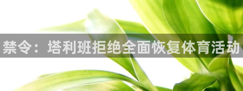 熊猫体育公园价格：禁令：塔利班拒绝全面恢复体育活动