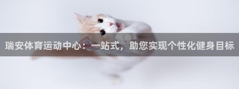 熊猫体育公园价格