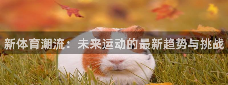 熊猫体育公园价格：新体育潮流：未来运动的最新趋势与挑战